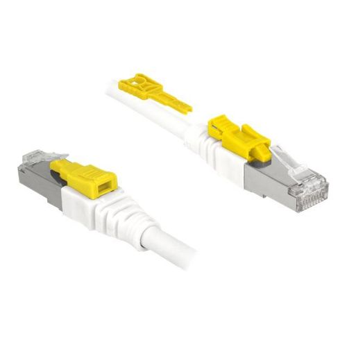 Delock Secure - Cordon de raccordement - RJ-45 (M) pour RJ-45 (M) - 3 m - STP - CAT 6a - sans halogène - blanc