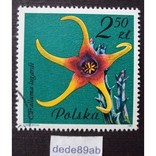 Pologne.. 2.50 Zl Polska . Caralluma Lugardi (Cactus Fleurs Plantes Flore) Oblitéré Used Stamp.