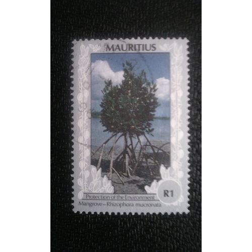Timbre Mauritius ( Yt 750 ) 1990 Mangrove (Rhizophora Mucronata)
