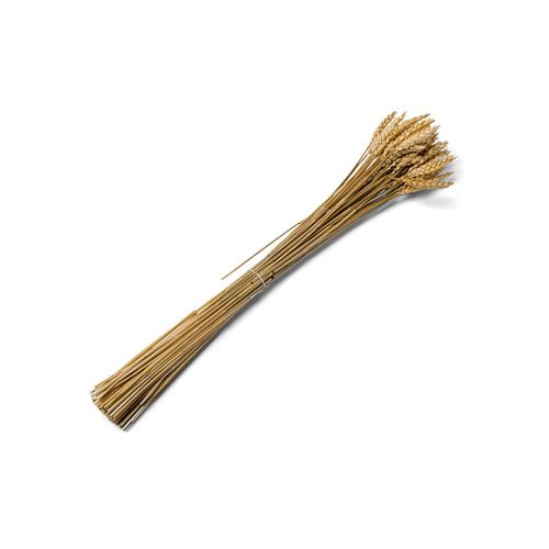 Bouquet D'épis De Blé Naturel 60 Cm