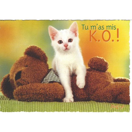 Carte Bonne Humour Chat Rakuten Raincy Seine Saint Denis Retrait Sur Place