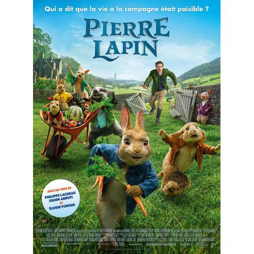 Affiche Film Pierre Lapin - 40x53