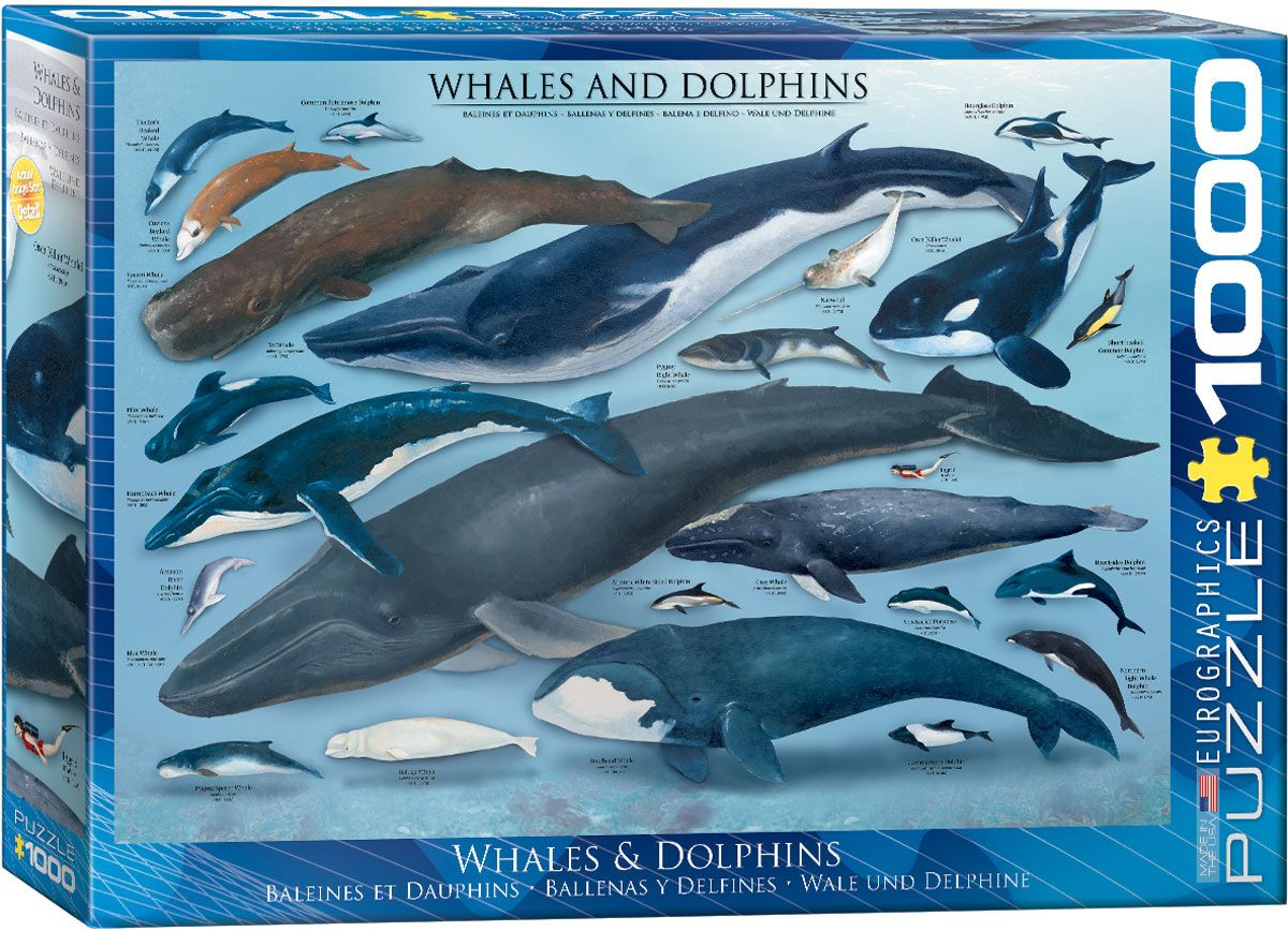 Baleines Et Dauphins - 1000 Pcs - 9+ - #6000-0082