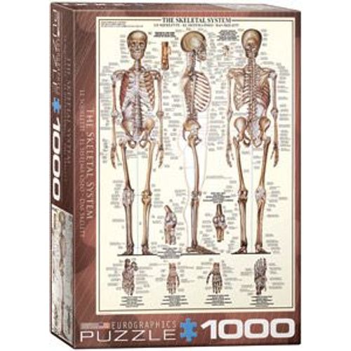 Le Squelette - 1000 Pcs - 9+ - #6000-3970