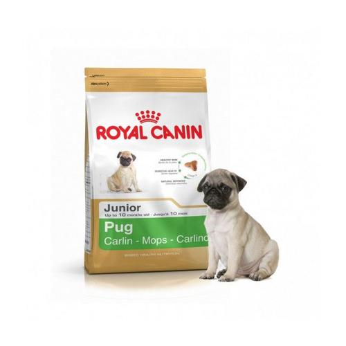 Croquettes Pour Chiot Carlin Royal Canin Breed Pug Junior Sac 1,5 Kg