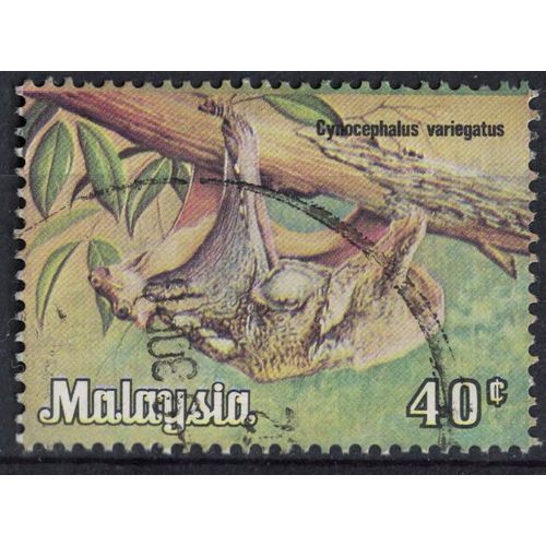 Malaisie 1979 Oblitéré Rond Used Animaux Sauvages Cynocephalus Variegatus Galeopterus Variegates Su