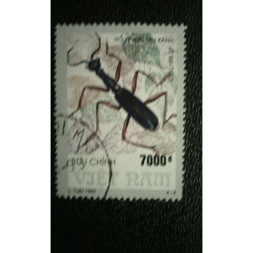 Timbre Vietnam ( Mi 2622 ) 1994 Tube Coléoptère (Collyris Sp.)
