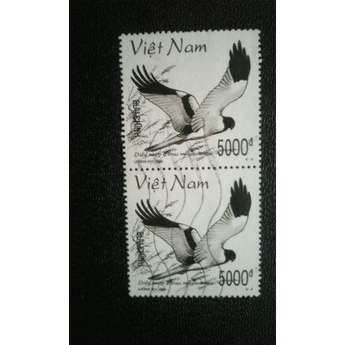 Timbre Vietnam ( Mi 2921 ) 1998 Pied Harrier (Circus Melanoleucus)