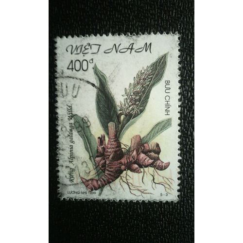 Timbre Vietnam ( Yt 1812 ) 1999 Herbes Médicinales Tacca Chantrieri Andre