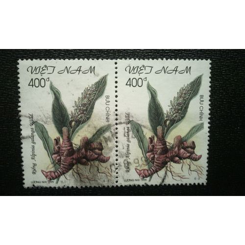 Timbre Vietnam ( Yt 1812 ) 1999 Herbes Médicinales Tacca Chantrieri Andre