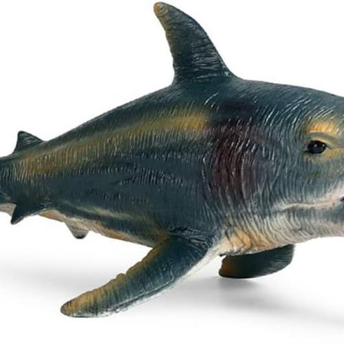 Grand Jouet De Requin Helicoprion, Diverses Figurines De Requins D'animaux Marins En Plastique Klb