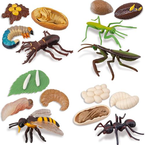Figurines D'insectes, 16 Pièces, Cycle De Vie Du Cerf, De L'abeille, De La Mante Religieuse Klb-Générique