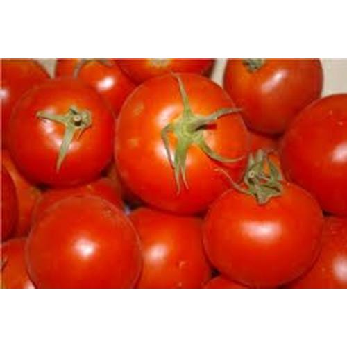 Tomate Paola (Graines)