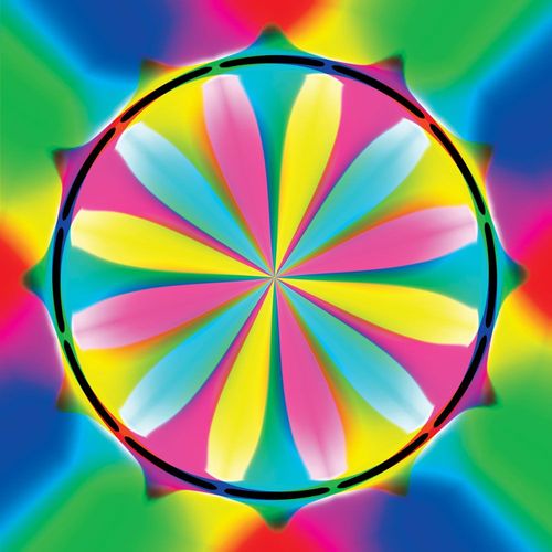 Colorful Ormanent - Puzzle 1023 Pièces