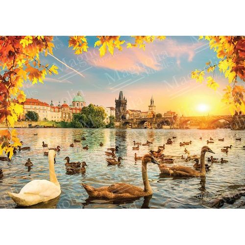 Swans Near Charles Bridge - Puzzle 1000 Pièces