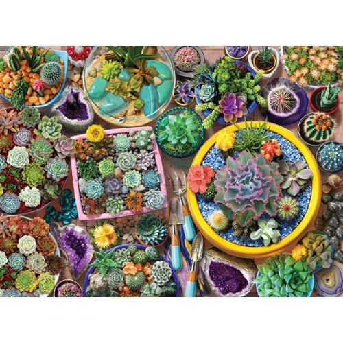 Cacti Pots - Puzzle 1000 Pièces