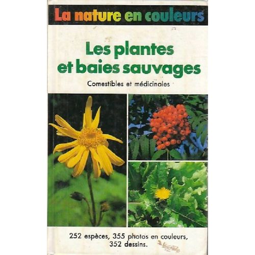 Les Plantes Et Baies Sauvages