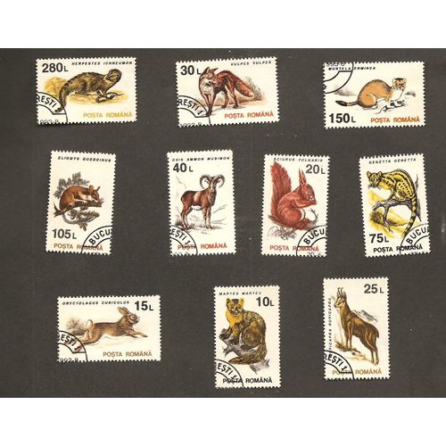 Animaux Sauvages