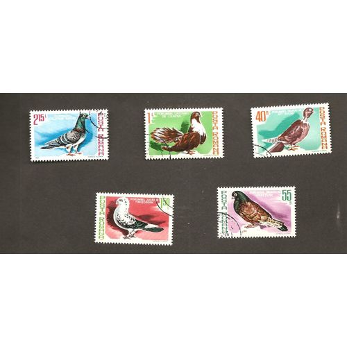 Pigeons