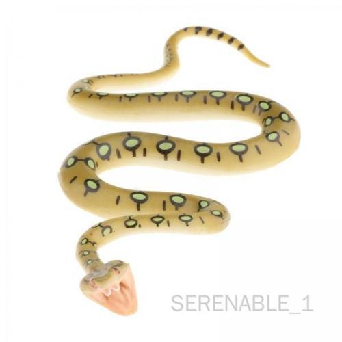 6 Collectionneur De Jouets De Figurines De Serpent En Plastique Python