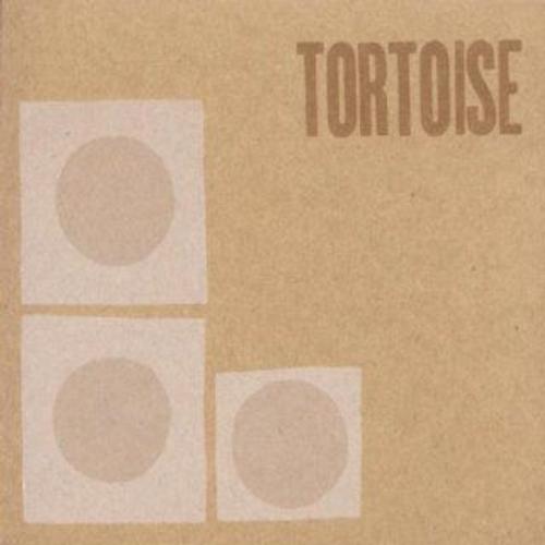 Tortoise