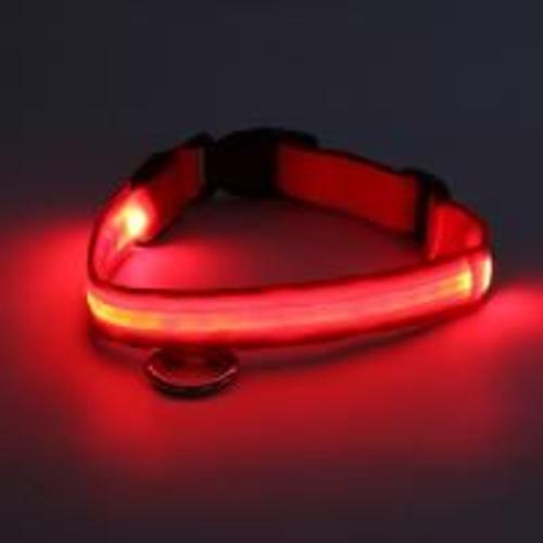 Collier Lumineux Pour Gros Chien, L - Rouge, Led Fixes Ou Clignotantes, Visibilité Sécurité Obscurité Accessoire