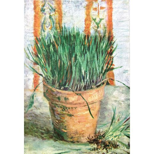 Van Gogh Fleurs 4 Cartes Postales Tableaux Peinture Reproduction