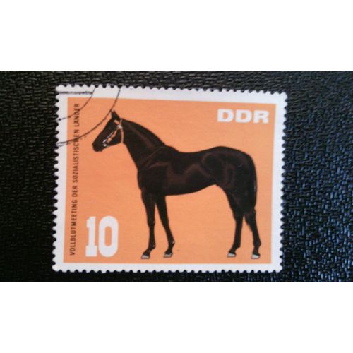 Timbre Allemagne Rda ( Yt 1000 ) 1967 Étalon (Equus Ferus Caballus)