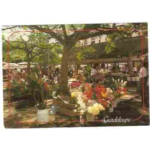 Guadeloupe Pointe-À-Pitre Marché St Jules Carte Postale Fleurs Anthurium Market Postcard French West Indies Antilles