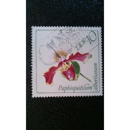 Timbre Allemagne Rda ( Yt 1117 ) 1968 Orchidées Paphiopedilum Albertianum