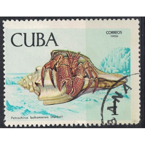 Cuba 1969 Oblitéré Used Crustacé Petrochirus Bahamensis Crabe Ermite Géant Su