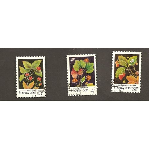 Fruits Rouges, Fleurs