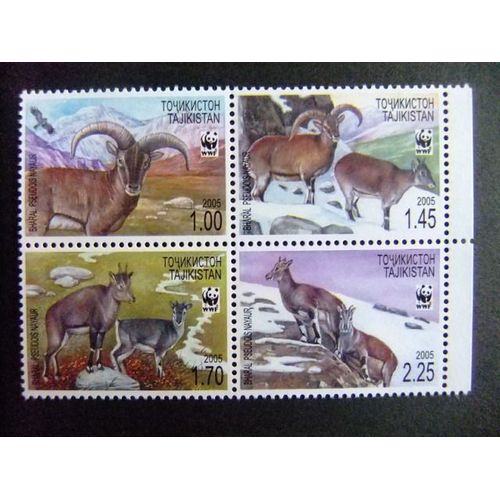 Tajikistan 2005 Proteccion De La Fauna Wwf El Bharal O Oveja Azul Del Himalaya O Naur Yvert 296 299 Mnh