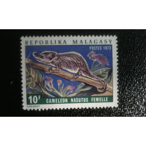 Timbre Madagascar ( Yt 525 ) 1973 Bignose Chameleon (Chameleo Nasatus) - Femelle