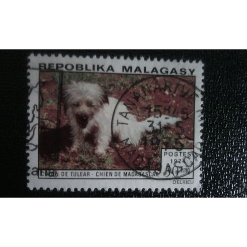 Timbre Madagascar ( Yt 547 ) 1974 Coton De Tuléar (Canis Lupus Familiaris)