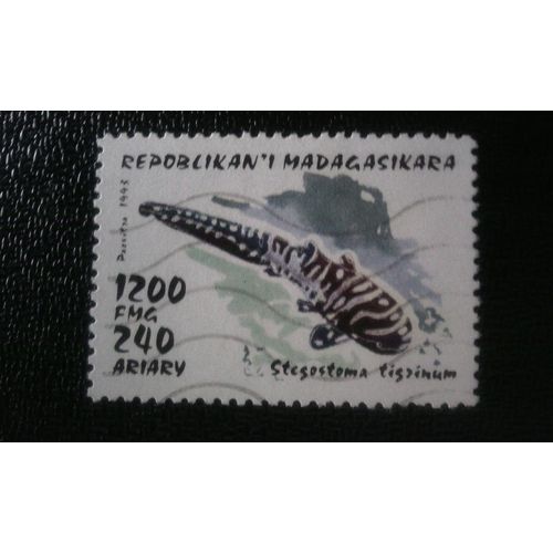 Timbre Madagascar ( Yt 1254 ) 1993 Requin Zèbre (Stegostoma Tigrinum)