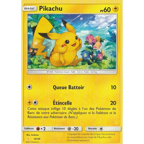 Pikachu 14/30 Kit Du Dresseur Raichu D'alola Et Lougaroc Forme Nocturne