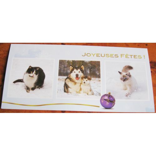 Tres Jolie Carte Double Avec Des Animaux Dans La Neige Chat Noir Et Blanc Chienne Husky
