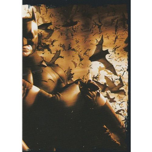 N°8 - Stickers Image Panini Le Monde De Batman