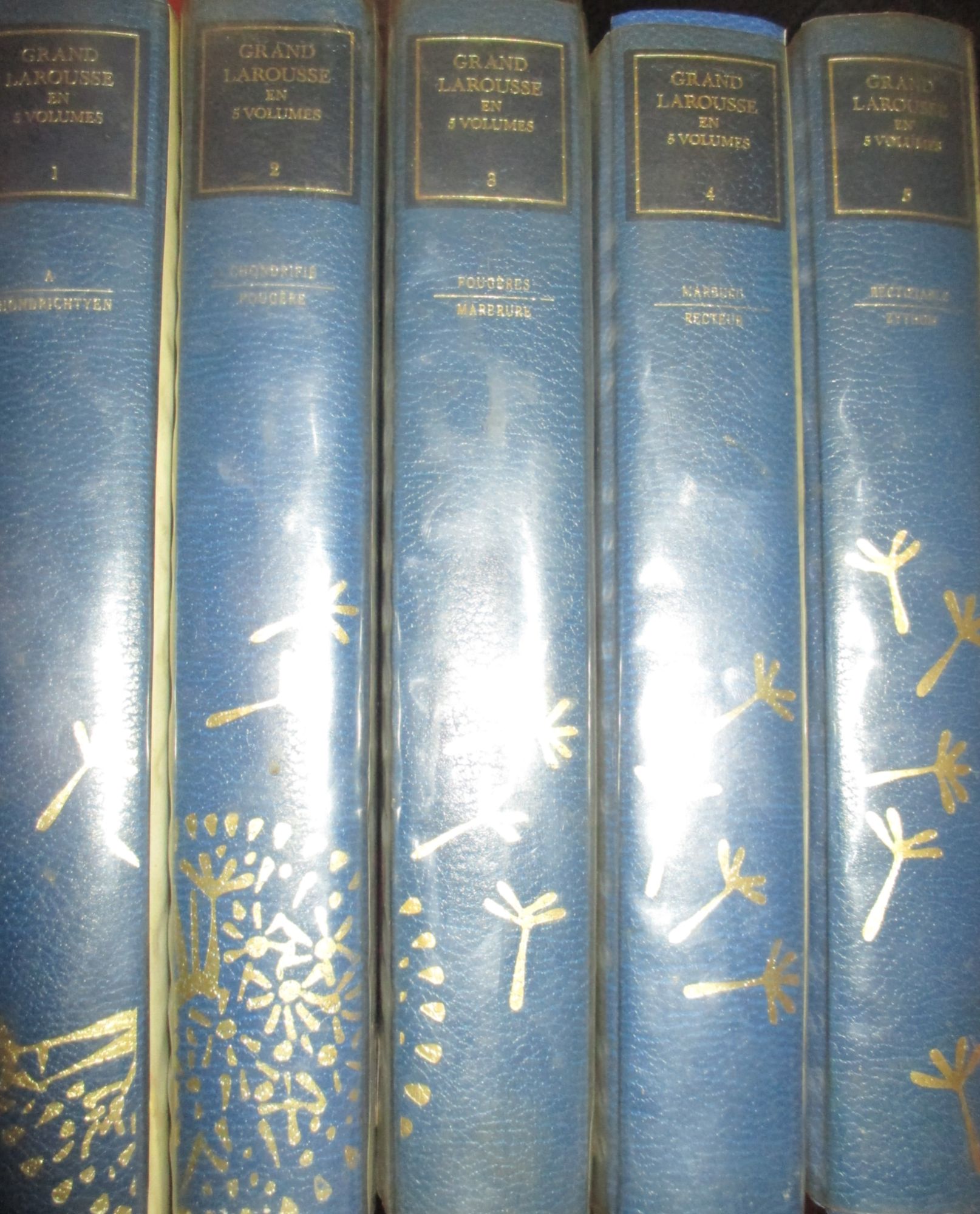 GRAND LAROUSSE 5 VOLUMES 全巻セット Larousse 5 Volumes - Meilleures offres neuf et occasion