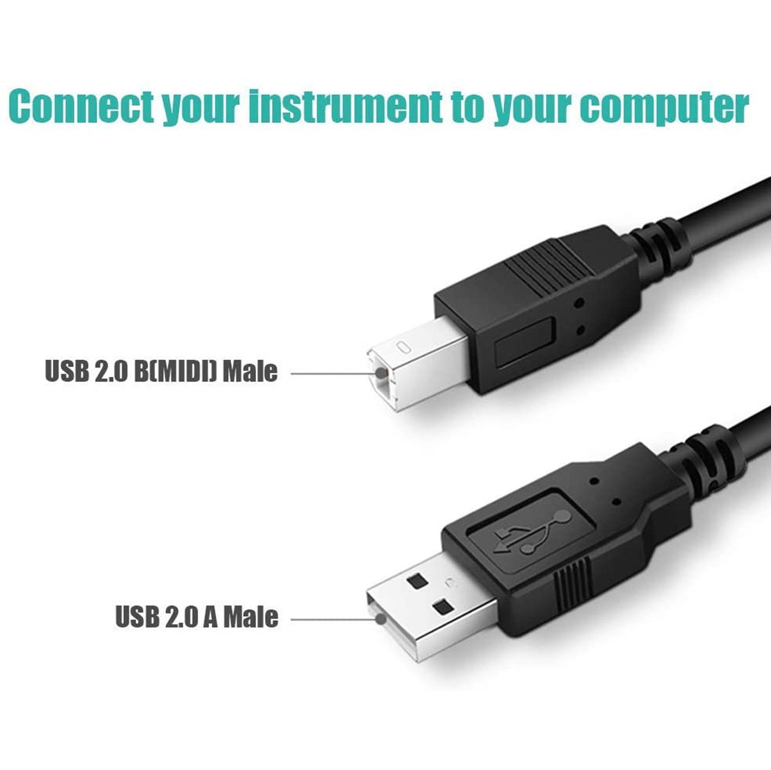 Cble Usb B Acity I Pour Instruments6 Piedsusb 2.0 Type A Ve... - 4
