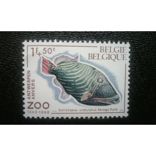 Timbre Belgique ( Yt 1470 ) 1968 Zoo Antwerpen Baliste À L'orange (Balistapus Undulatus)