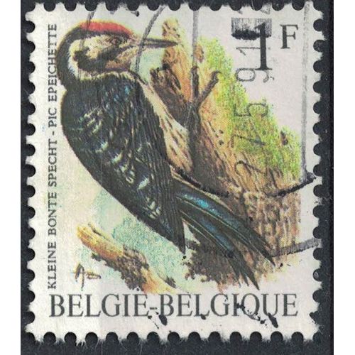 Belgique 1991 Oblitéré Used Oiseau Dryobates Minor Pic Épeichette Su