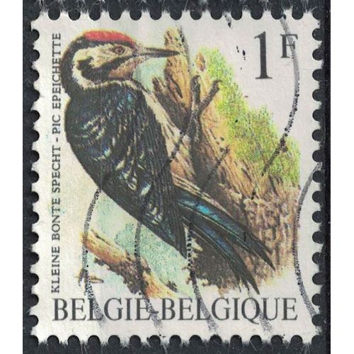 Belgique 1991 Oblitéré Used Oiseau Dryobates Minor Pic Épeichette Su