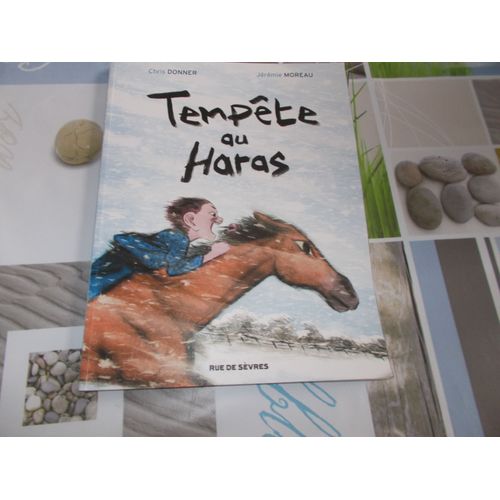 Tempête Au Haras