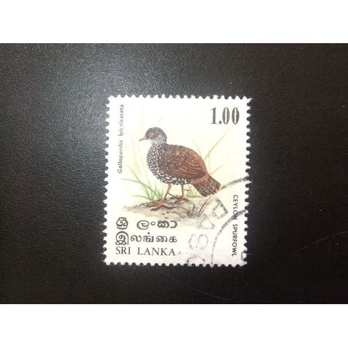 Sri Lanka (Ceilán) 1979 Fauna Oiseaux - Galloperdix Bicalcarata Yvert 529 º Fu