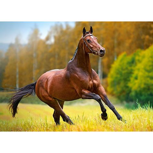 Puzzle 180 Pièces Cheval