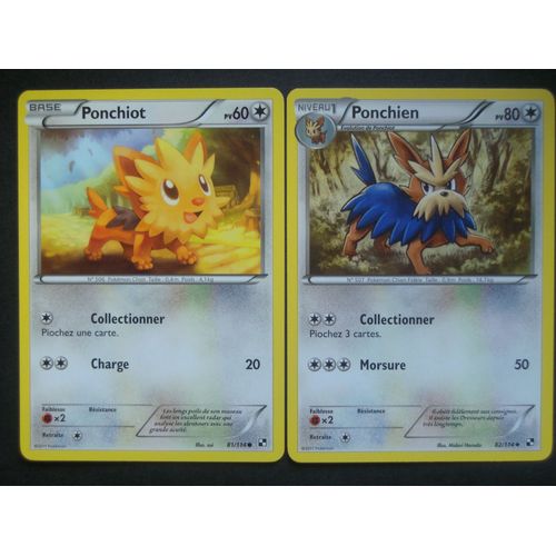 Noir & Blanc - Ponchiot (81) + Ponchien (82/114)