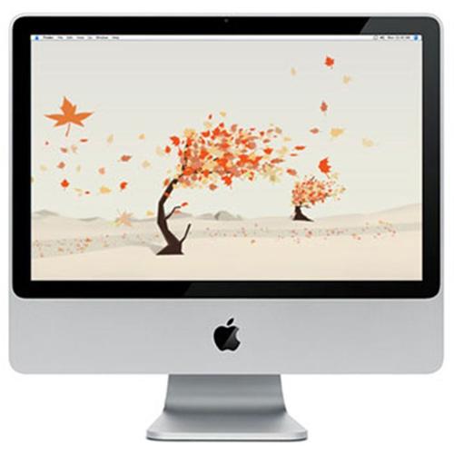 Apple iMac Core 2 Duo 2.4 GHz 1 Go RAM 320 Go