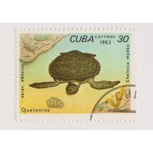 Timbre Cuba Animaux Tortue 30